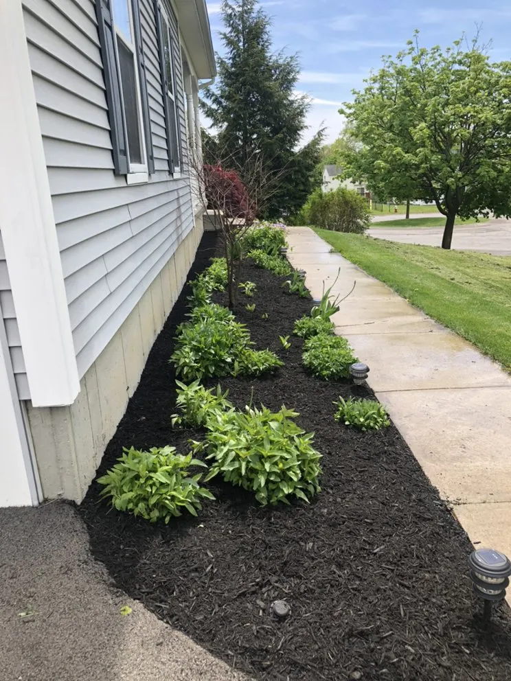 Top-rated landscaping services near you across Cohoes, NY - Capital Region Lawn Care