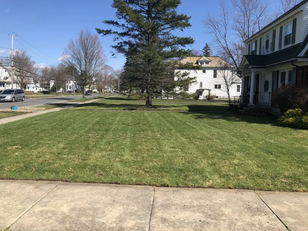 Affordable landscape installation for homes in Cohoes, NY by Capital Region Lawn Care