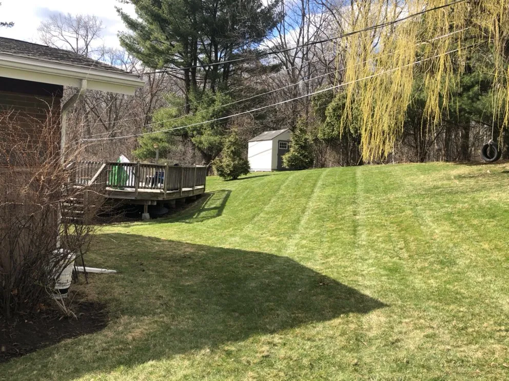 Affordable lawn mowing service with custom design across Cohoes, NY - Capital Region Lawn Care