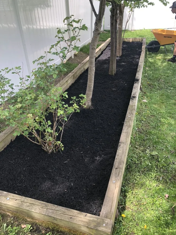 Reliable yard maintenance for year-round maintenance in Cohoes, NY by Capital Region Lawn Care