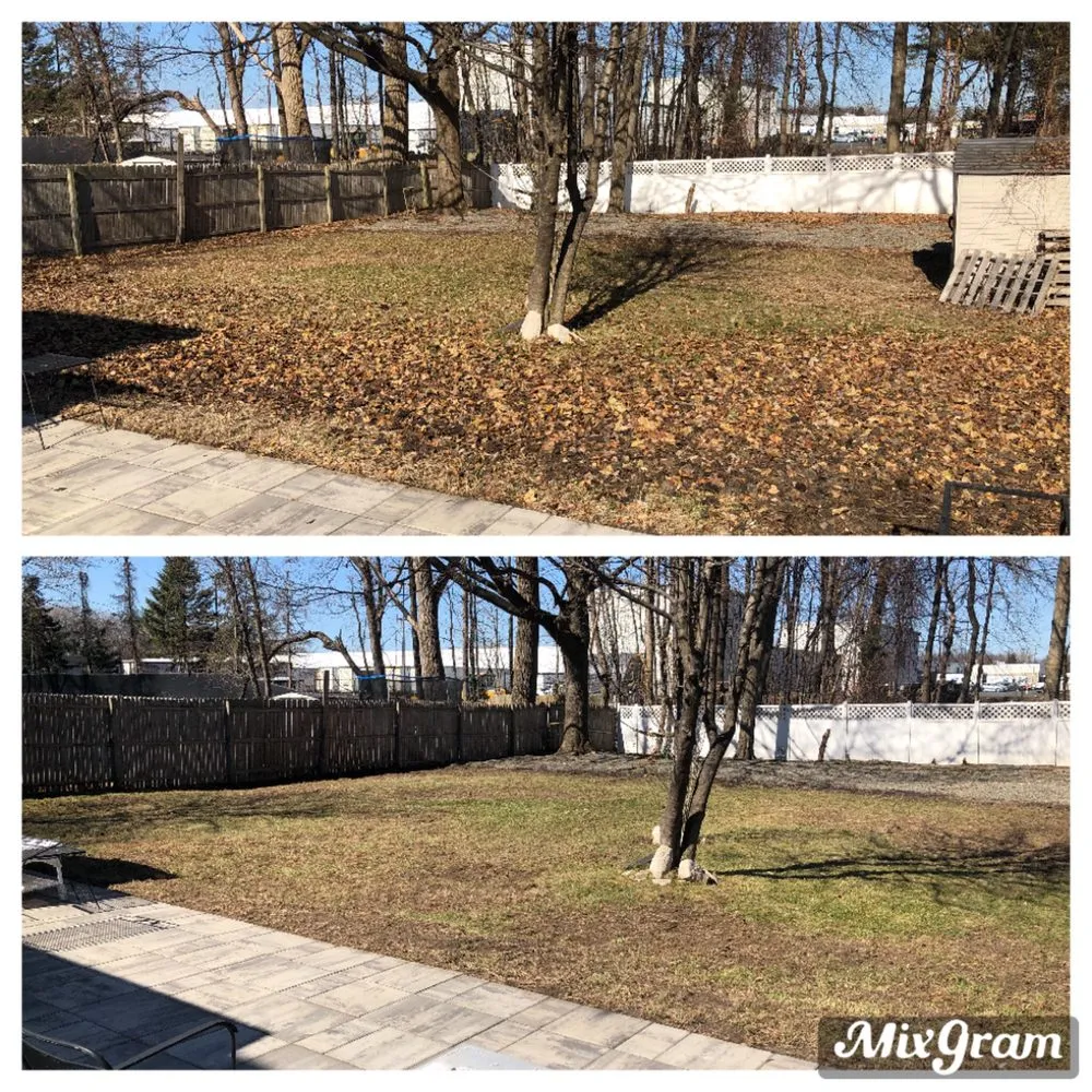 Trusted landscape design in Cohoes, NY - Capital Region Lawn Care