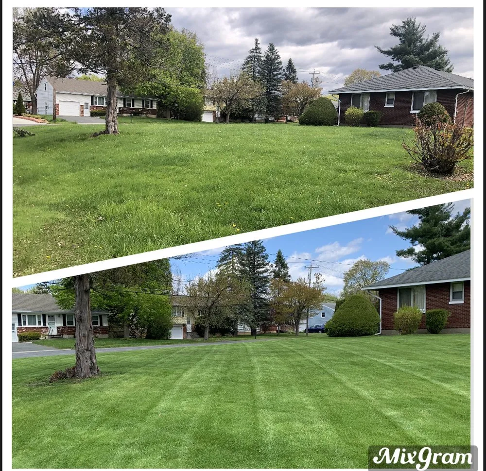 Custom yard maintenance for year-round maintenance in Cohoes, NY by Capital Region Lawn Care