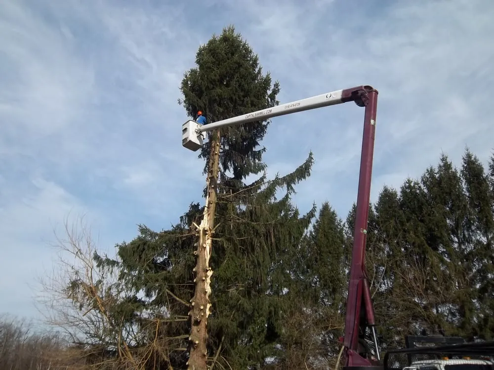 Trusted outdoor landscaping in Nassau, NY by Capital Sawmill Service