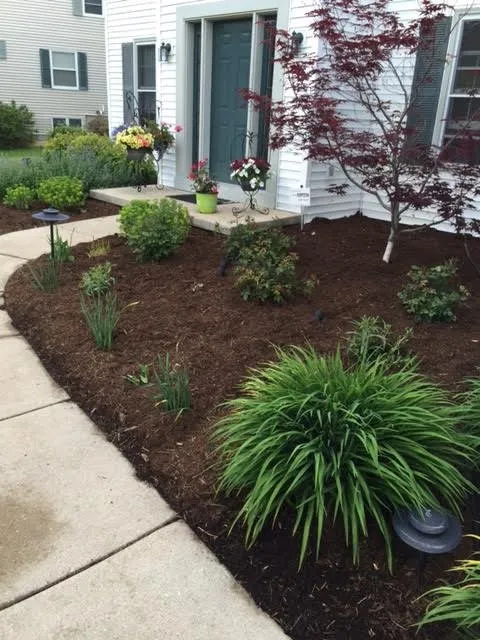 Custom yard cleanup service in Madison, WI by Capital Turf Lawn Care