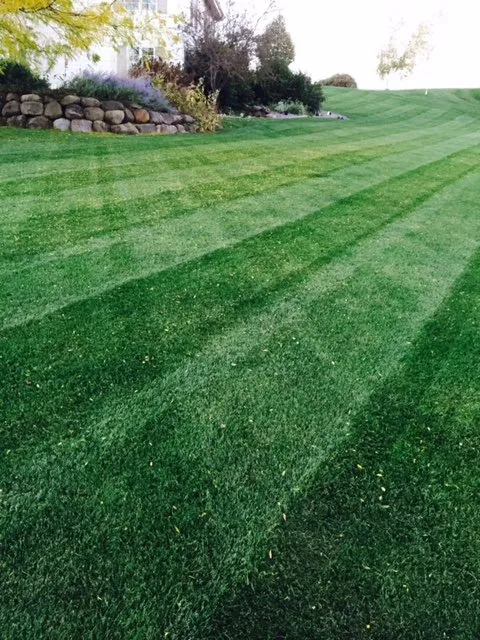 Custom garden landscaping experts serving Madison, WI - Capital Turf Lawn Care