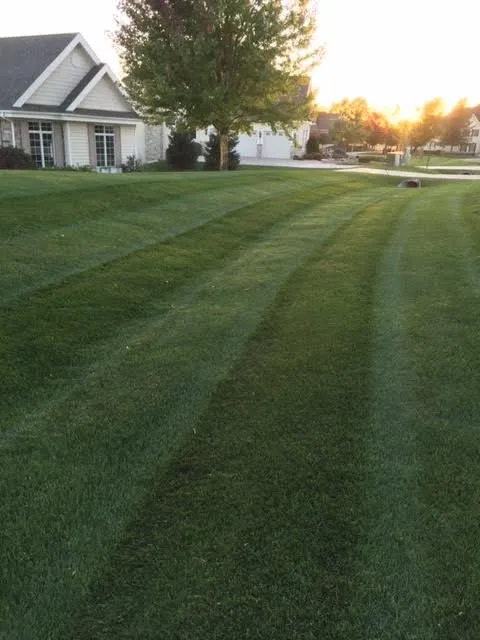 Reliable garden landscaping for outdoor upgrades in Madison, WI by Capital Turf Lawn Care