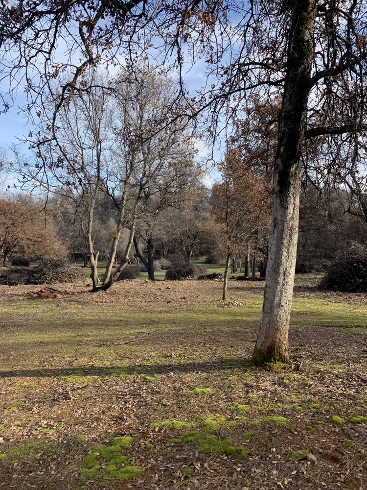 Expert yard cleanup service for beautiful yards in Montague, CA by Capitan Forestry
