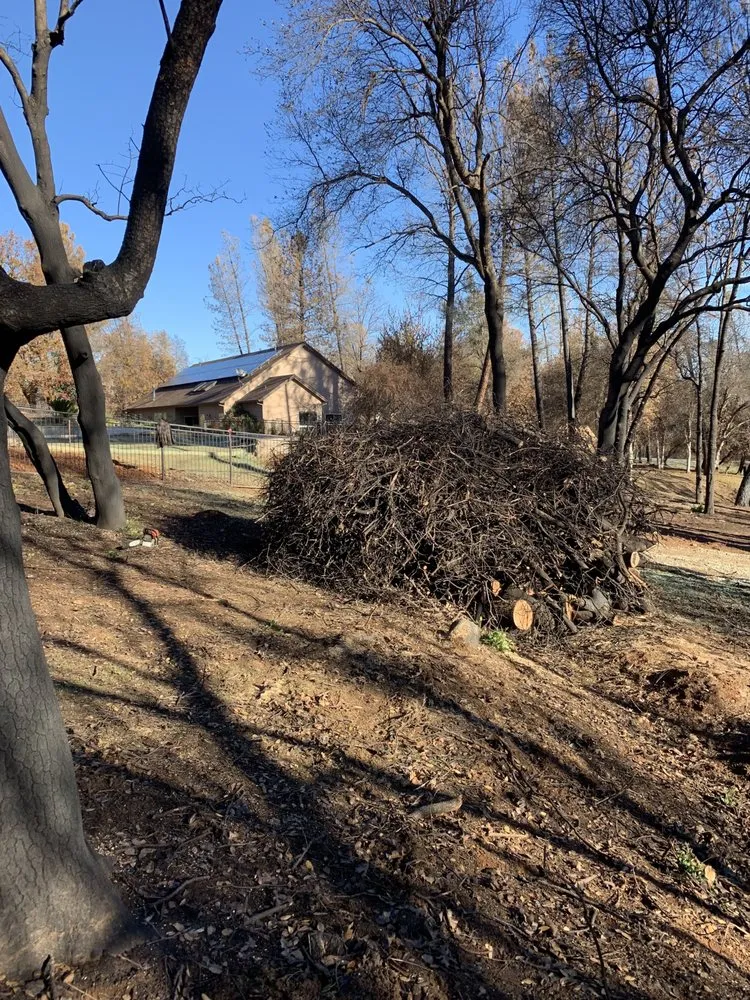 Reliable yard maintenance experts serving Montague, CA - Capitan Forestry