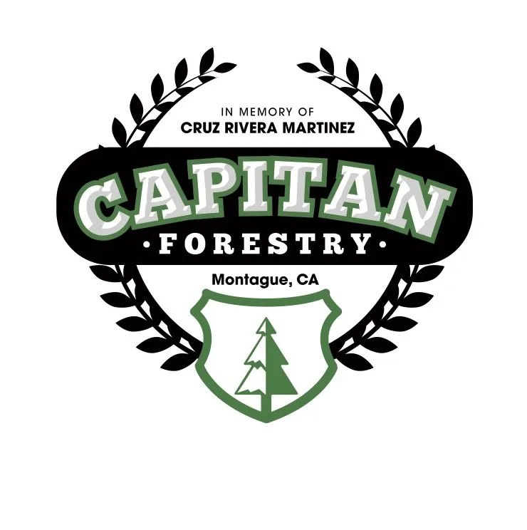 Reliable yard maintenance in Montague, CA - Capitan Forestry