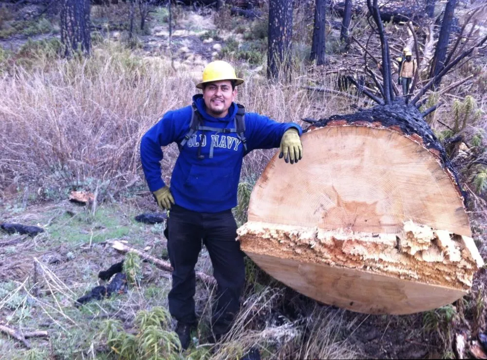 Top-rated yard maintenance in Montague, CA - Capitan Forestry