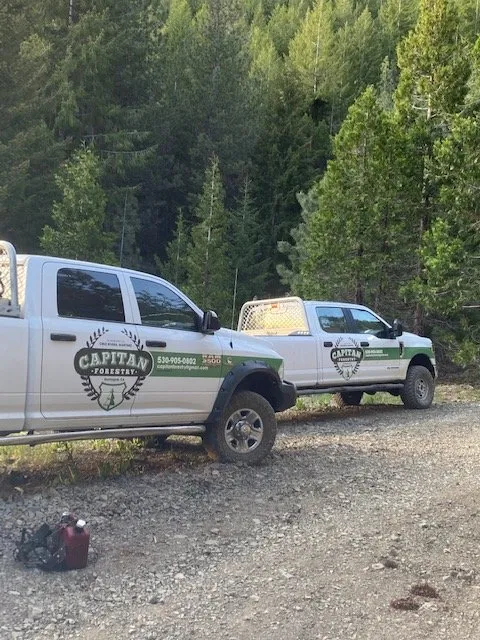 Professional landscape installation experts serving Montague, CA - Capitan Forestry
