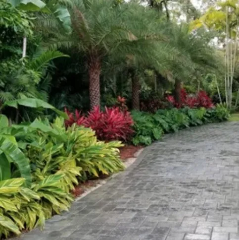 Trusted landscape design near you across Nokesville, VA - Capitol Landscaping