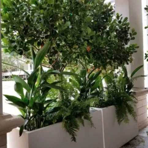 Affordable residential landscaping in Nokesville, VA by Capitol Landscaping