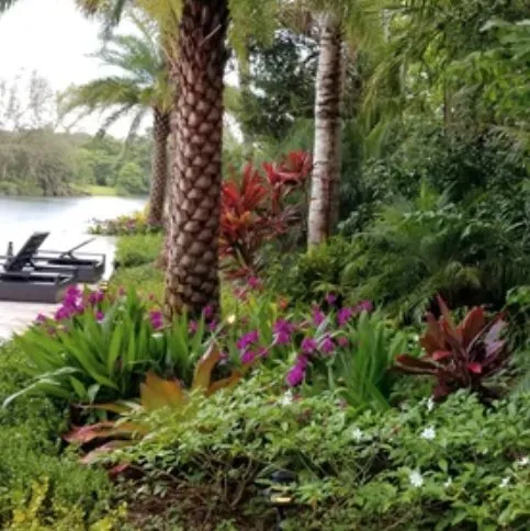 Professional yard cleanup service in Nokesville, VA - Capitol Landscaping