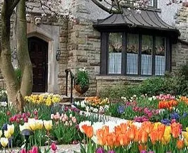 Custom residential landscaping for year-round maintenance across Nokesville, VA - Capitol Landscaping