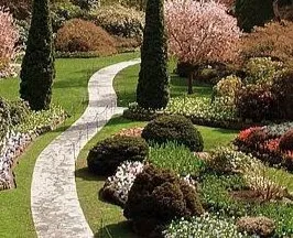 Reliable yard cleanup service experts serving Nokesville, VA - Capitol Landscaping