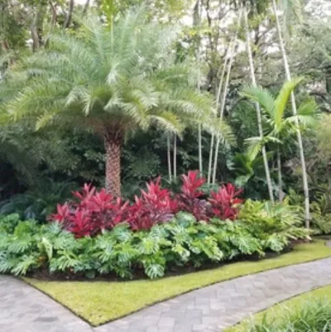 Affordable lawn care service experts serving Nokesville, VA - Capitol Landscaping