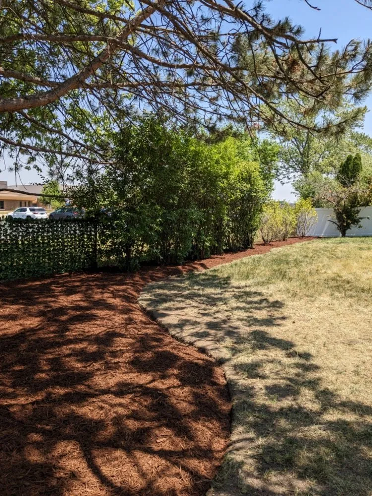 Trusted lawn mowing service in Elmhurst, IL - Capitol Lawn & Snow