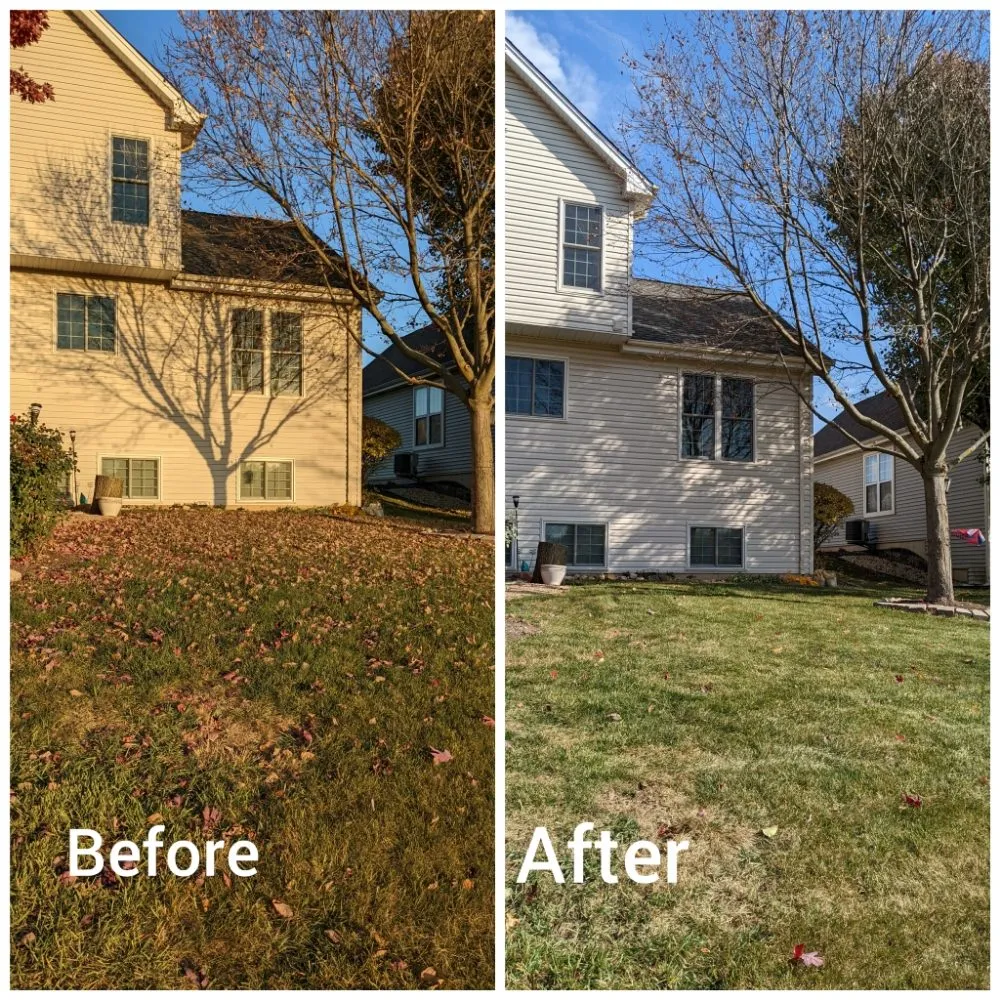 Custom landscape installation for outdoor upgrades across Elmhurst, IL - Capitol Lawn & Snow