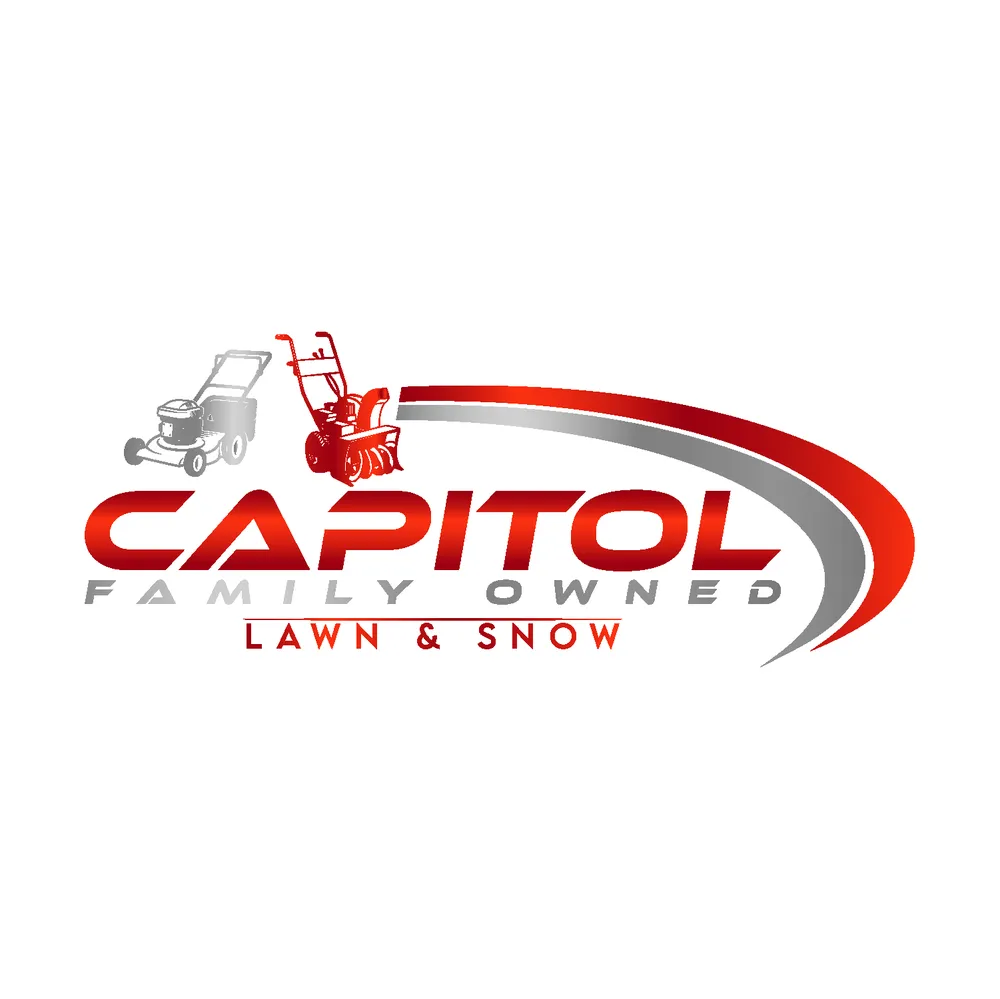 Professional landscape installation in Elmhurst, IL - Capitol Lawn & Snow