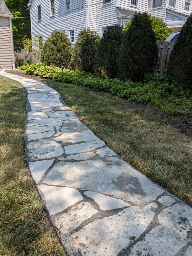 Local lawn care service in Elmhurst, IL by Capitol Lawn & Snow