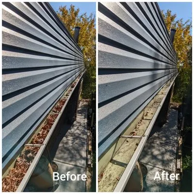 Capitol Lawn & Snow Logo