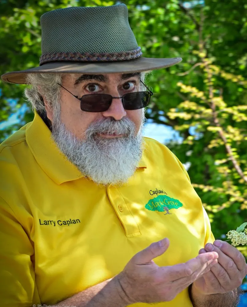 Affordable lawn care service in Evansville, IN by Caplan's Tree & Landscape Consultants