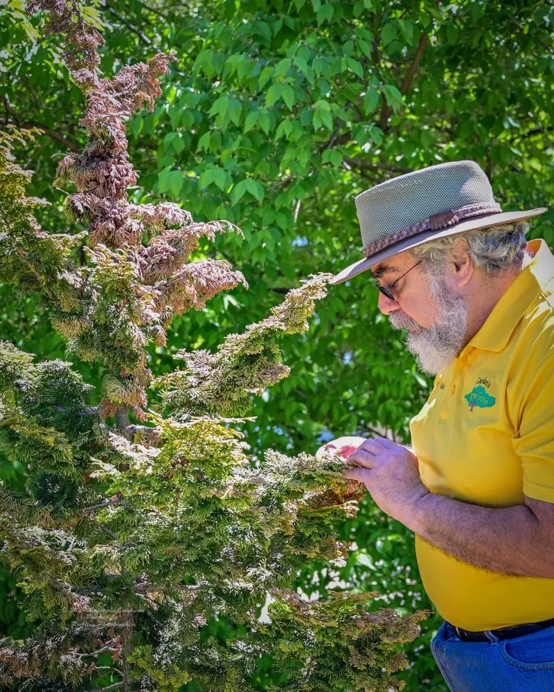 Trusted yard cleanup service for residential properties across Evansville, IN - Caplan's Tree & Landscape Consultants