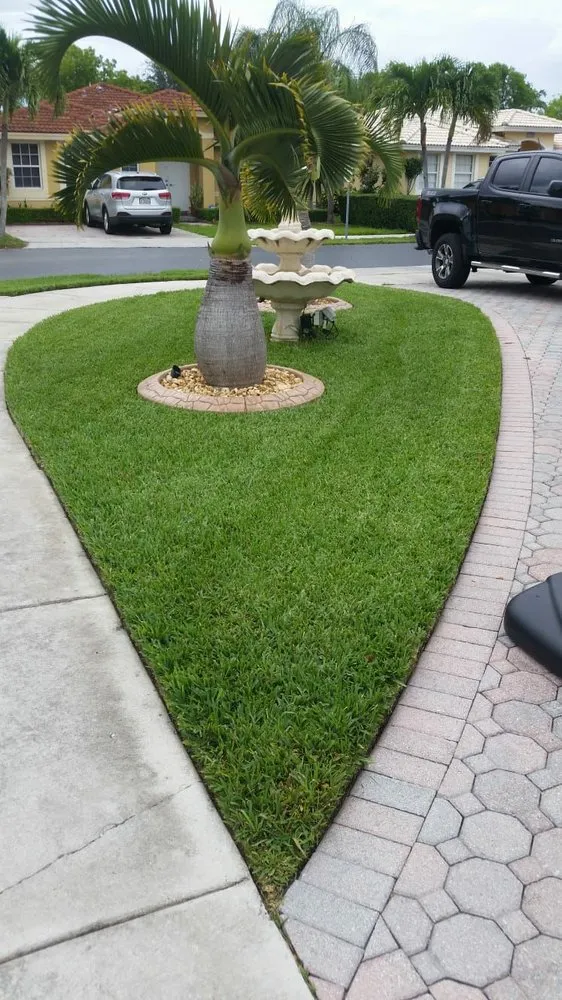 Top-rated yard cleanup service for beautiful yards in Miami, FL by Capote Landscaping Services Corp