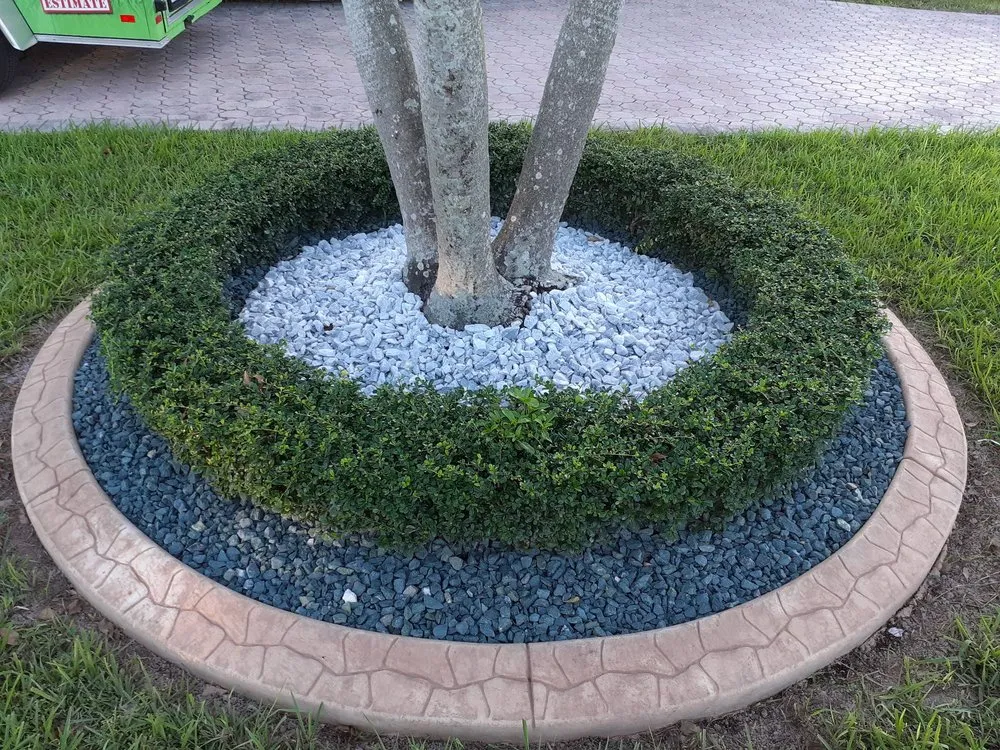 Affordable yard maintenance for beautiful yards across Miami, FL - Capote Landscaping Services Corp