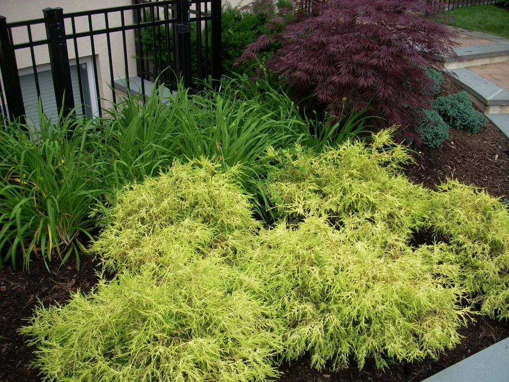 Professional outdoor landscaping experts serving Kings Park, NY - Cappiello Landscaping