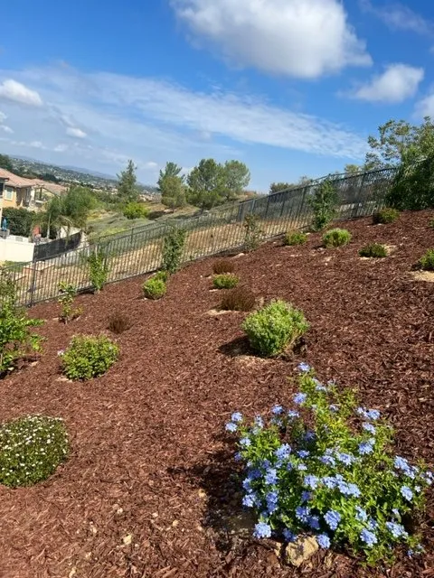 Trusted lawn mowing service for outdoor upgrades across Murrieta, CA - Capra Landscape Construction