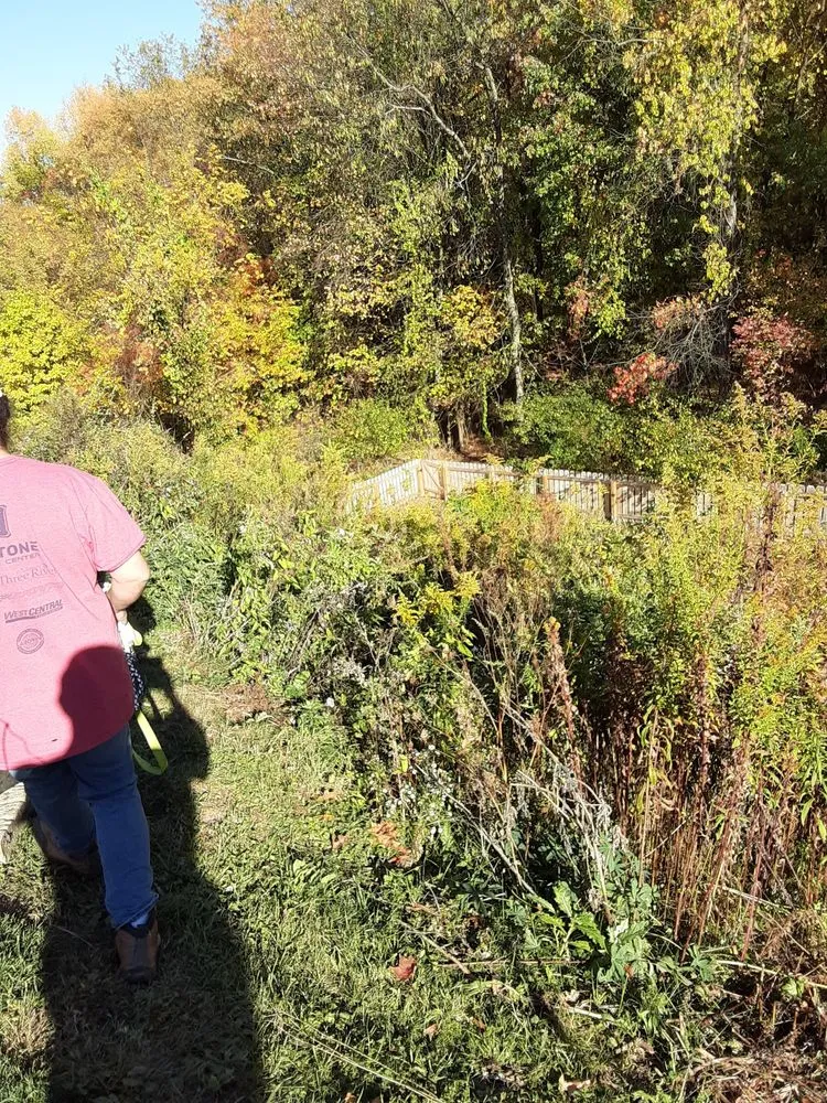 Reliable garden landscaping in McKnight, PA - Capricious