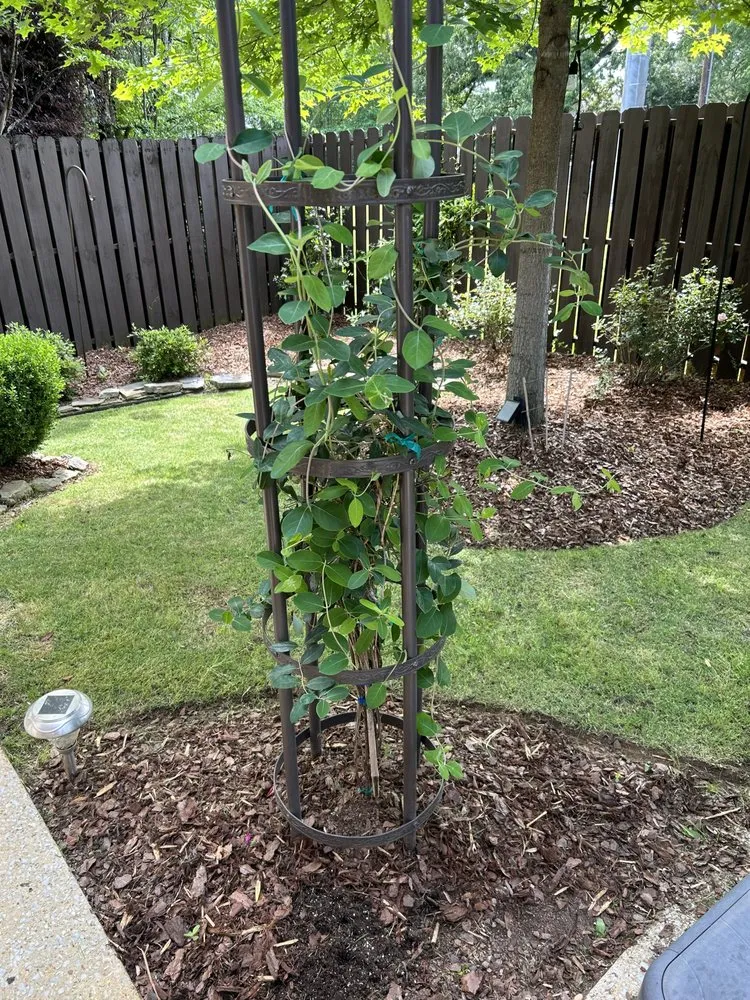 Affordable yard cleanup service in Northport, AL - Capstone Landscaping Services