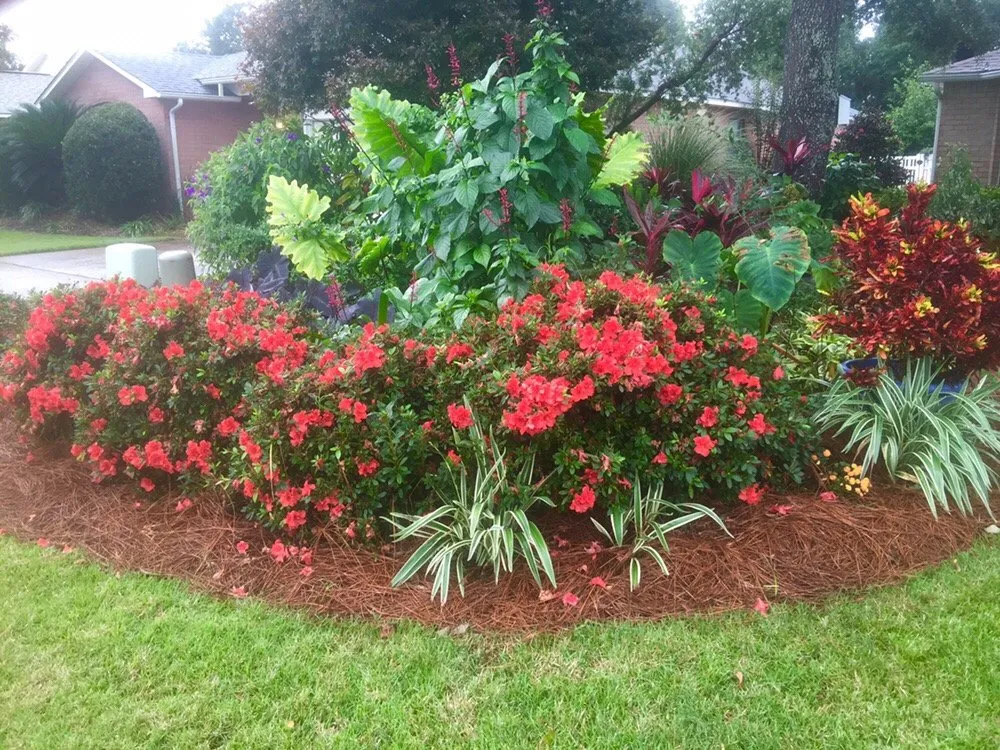 Affordable yard maintenance experts serving Niceville, FL - Captain Earl's Lawn Care