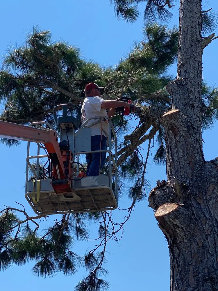 Custom landscape design in Port O'Connor, TX - Captain Lawn & Tree Service