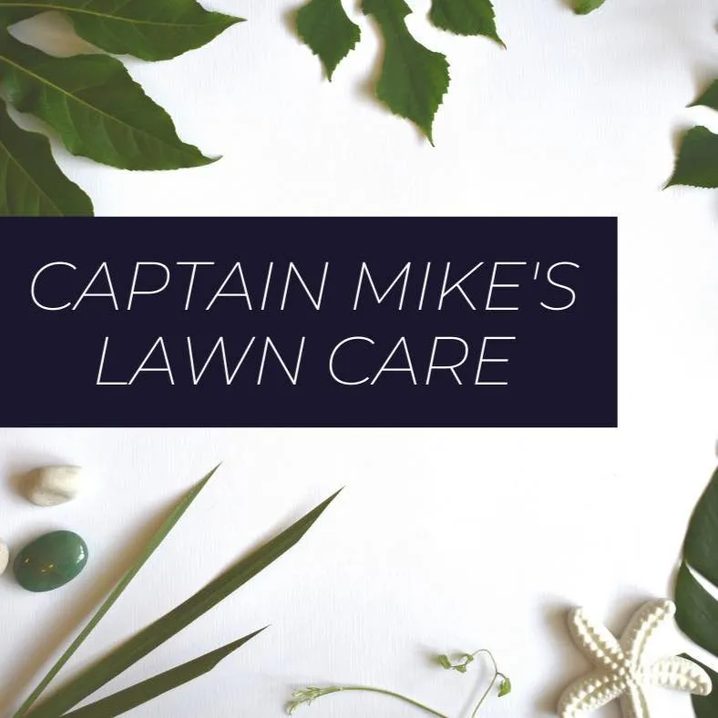 Expert outdoor landscaping for residential properties in New Port Richey, FL by Captain Mike’s Lawn Care