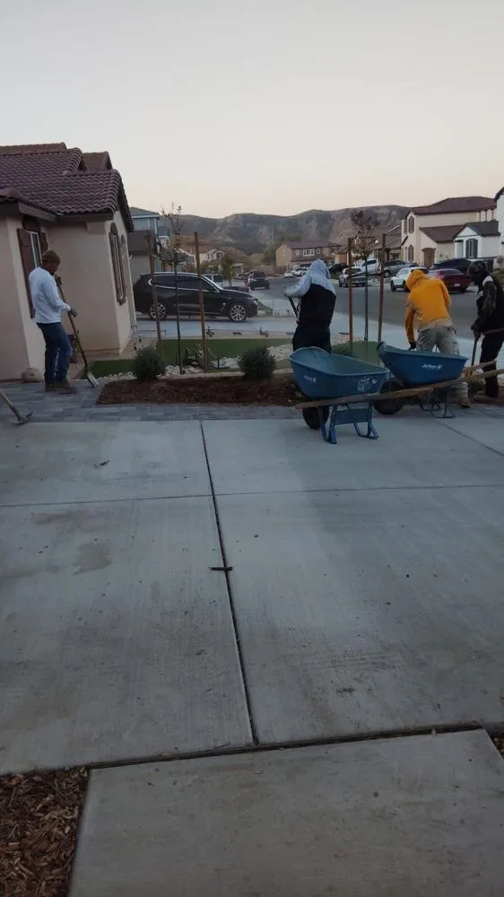 Top-rated yard cleanup service for year-round maintenance in Los Angeles, CA by Captain Turf