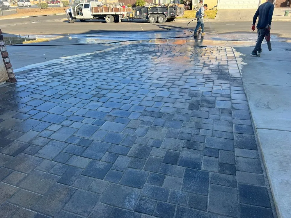 Reliable yard maintenance near you in Los Angeles, CA by Captain Turf