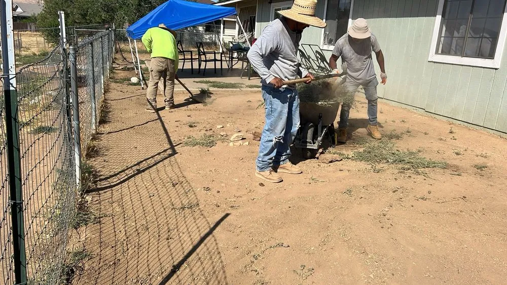 Affordable landscape design in Los Angeles, CA by Captain Turf