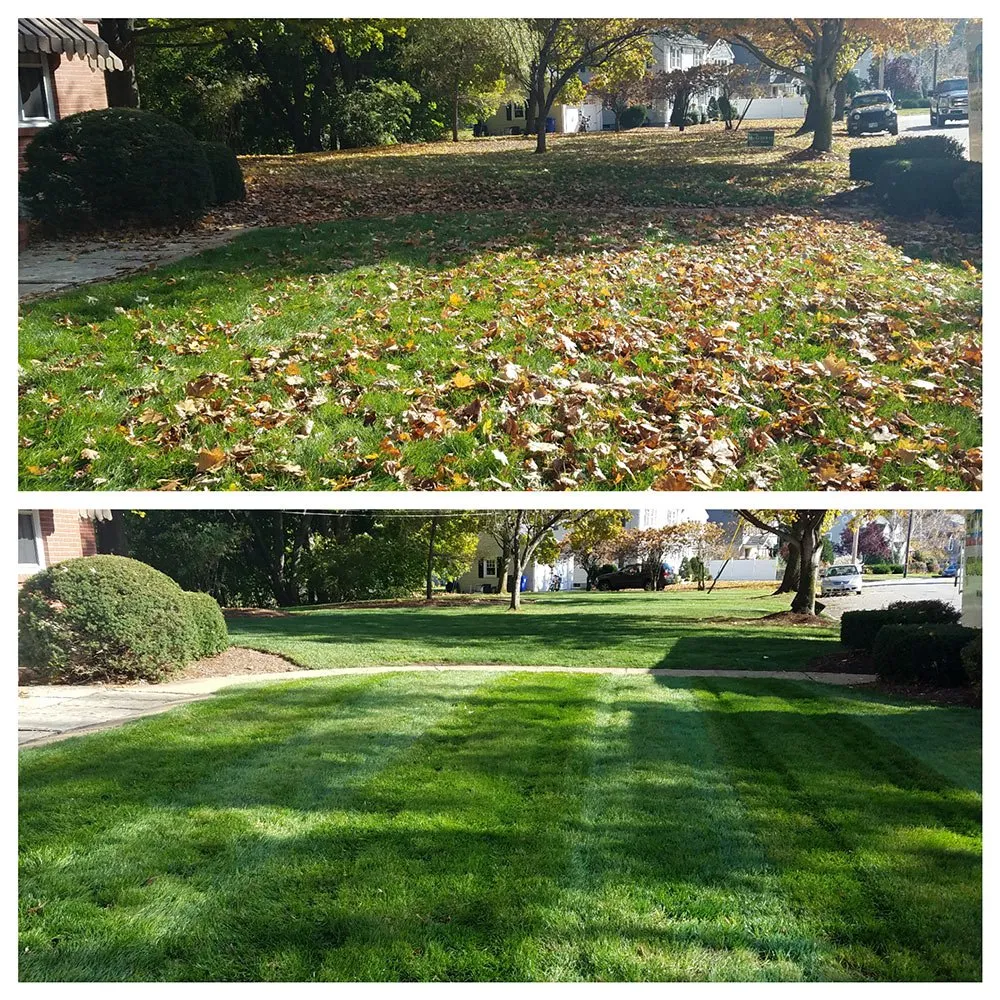 Custom lawn care service for residential properties in Plymouth, MI by Captain's Clean Up