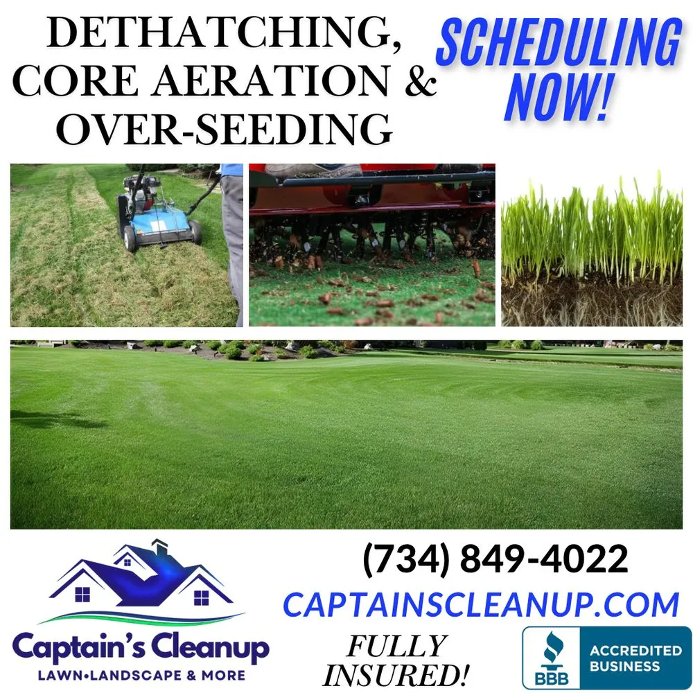 Reliable lawn care service in Plymouth, MI by Captain's Clean Up