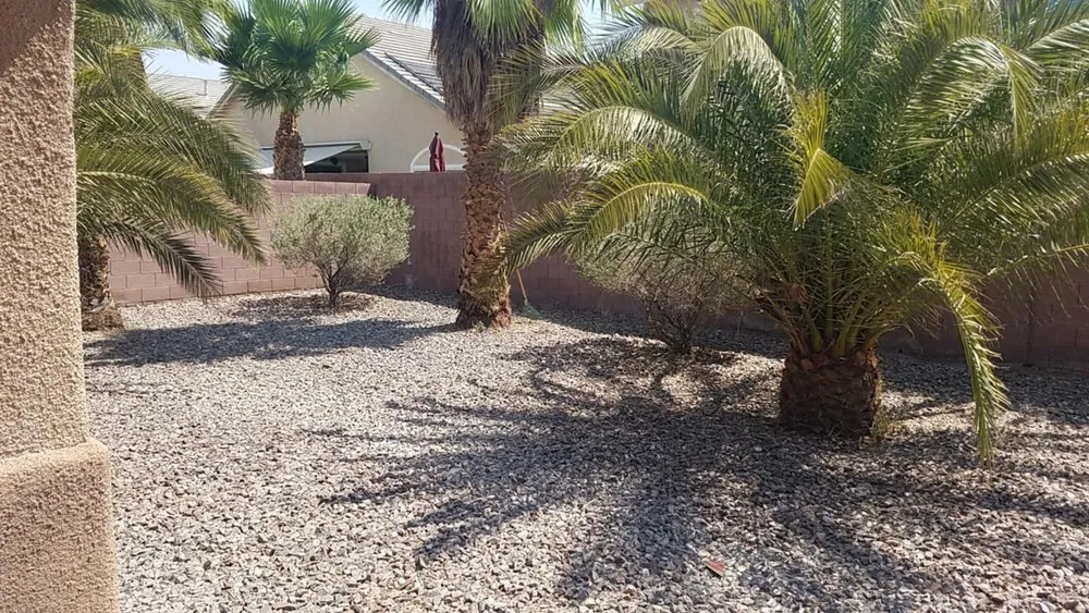 Custom yard cleanup service in Las Vegas, NV - Captin Gee