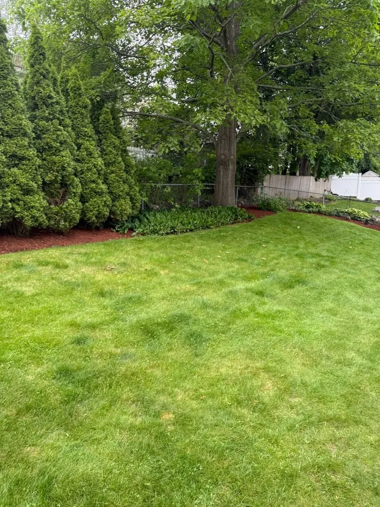 Professional garden landscaping with custom design across Waltham, MA - Car-Bel Landscape Services