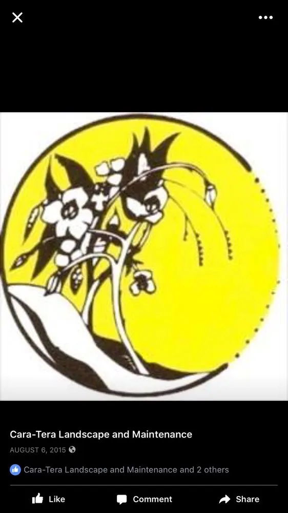 Expert landscape installation in Webster Groves, MO by Cara-Tera Landscape