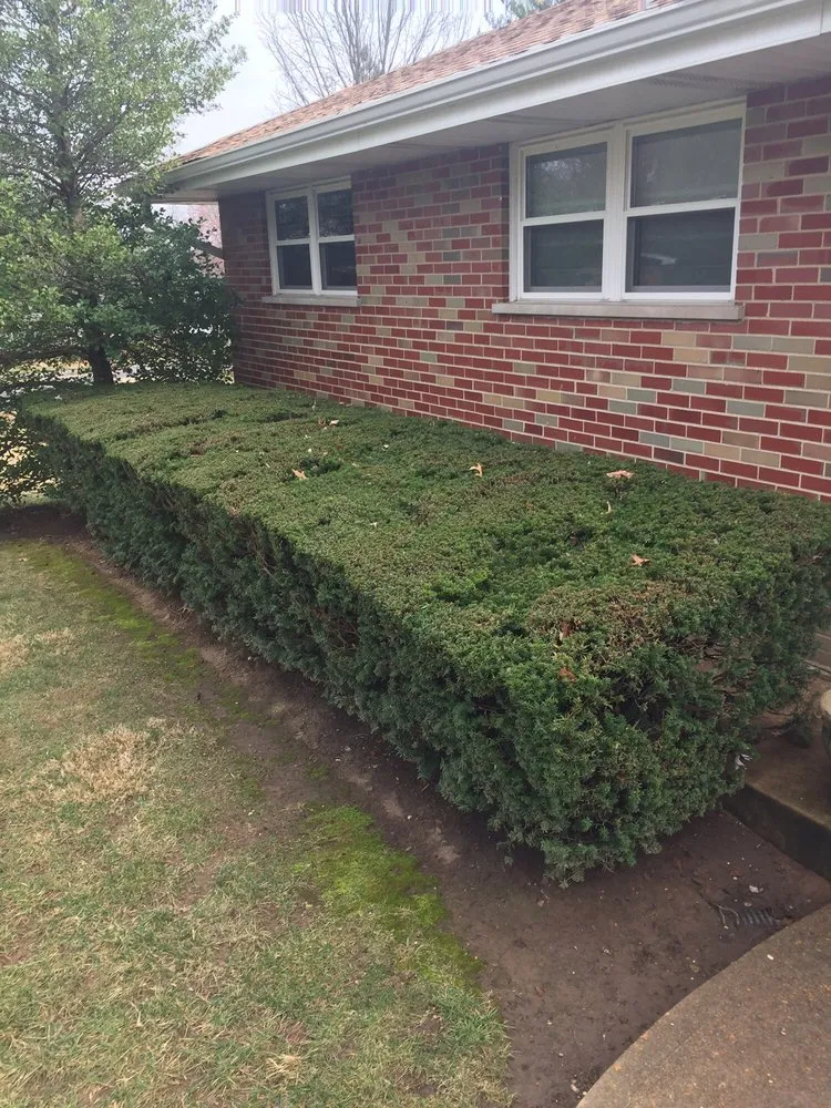 Custom lawn mowing service in Webster Groves, MO - Cara-Tera Landscape