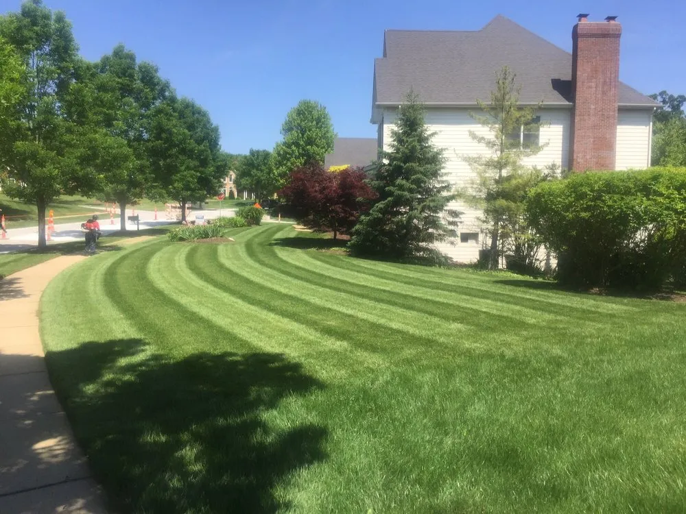 Affordable lawn care service for outdoor upgrades in Webster Groves, MO by Cara-Tera Landscape