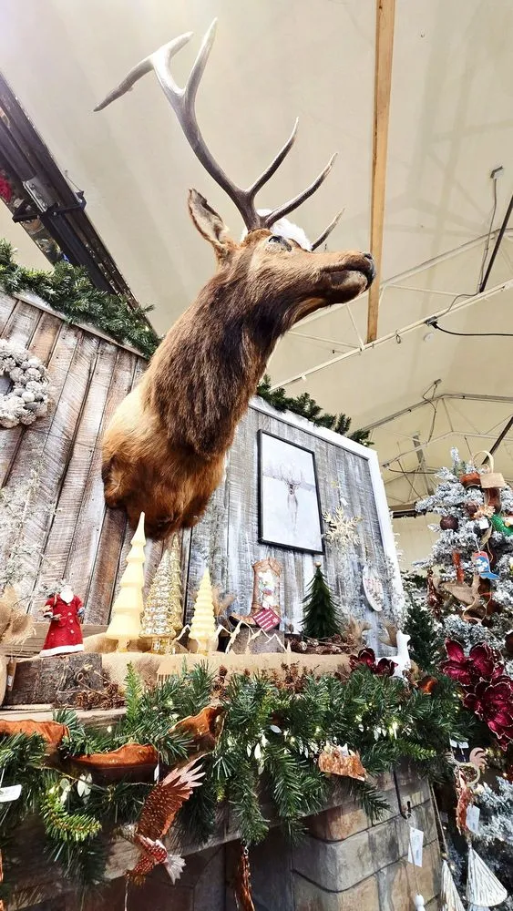 Trusted landscaping services with custom design across Missoula, MT - Caras Nursery & Landscape