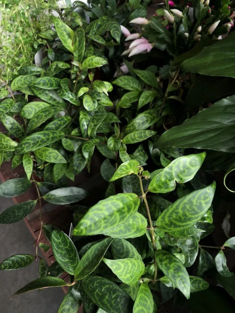 Custom garden landscaping in Missoula, MT by Caras Nursery & Landscape