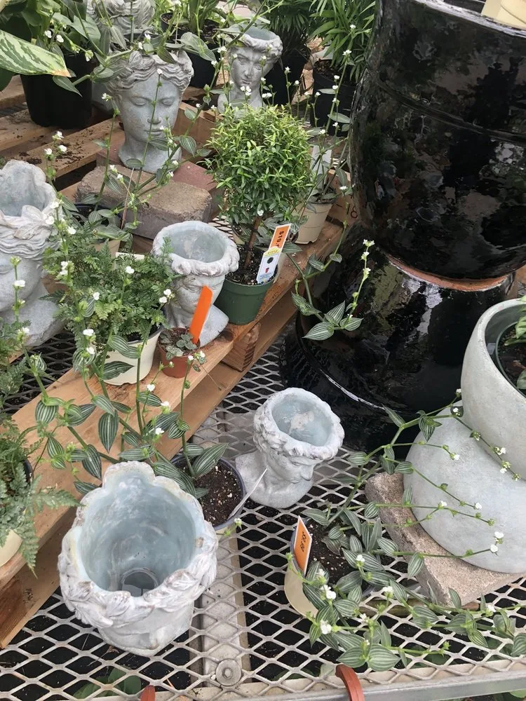 Expert yard cleanup service for homes in Missoula, MT by Caras Nursery & Landscape